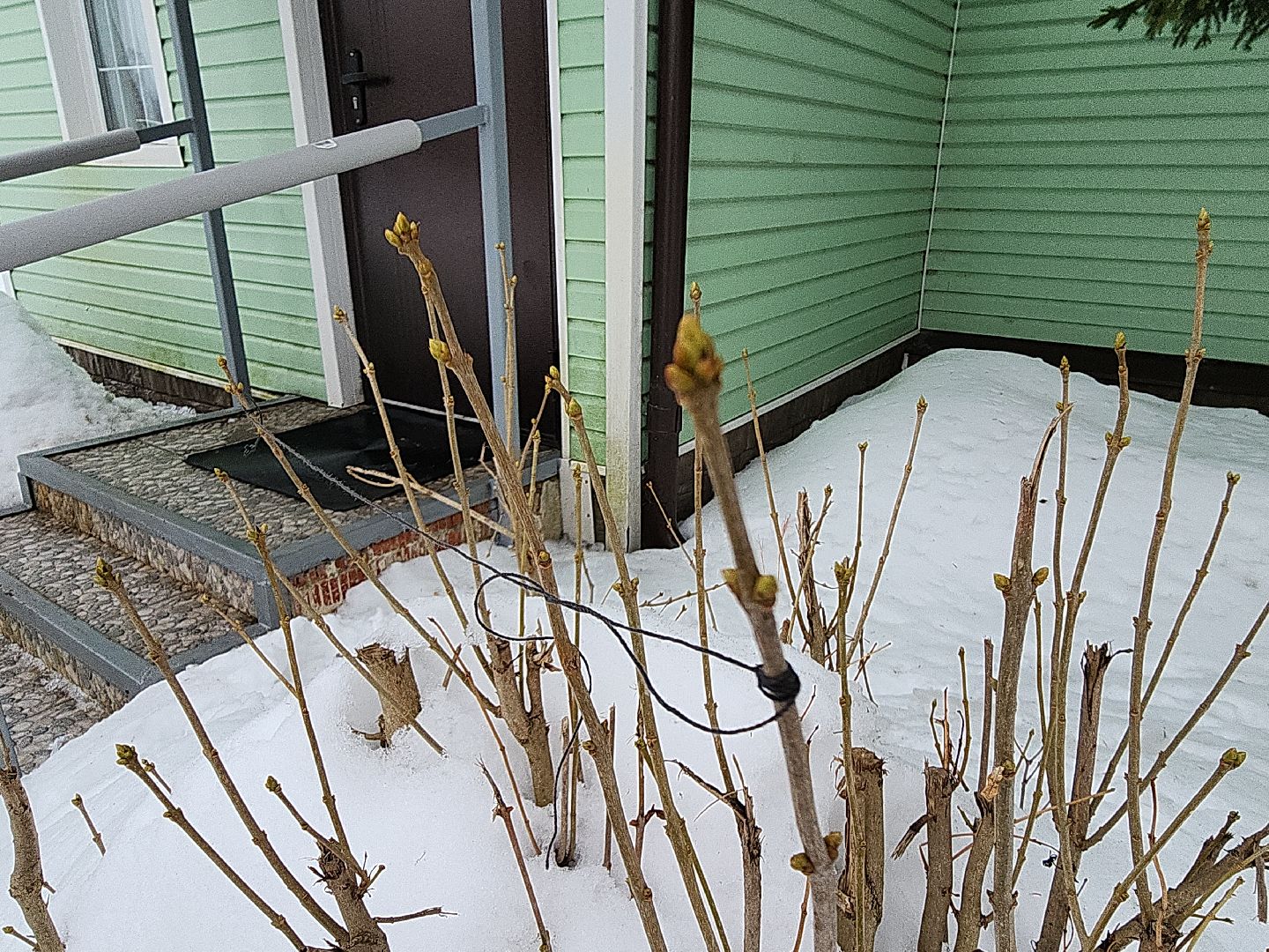 коломна, погода, зима 2024,