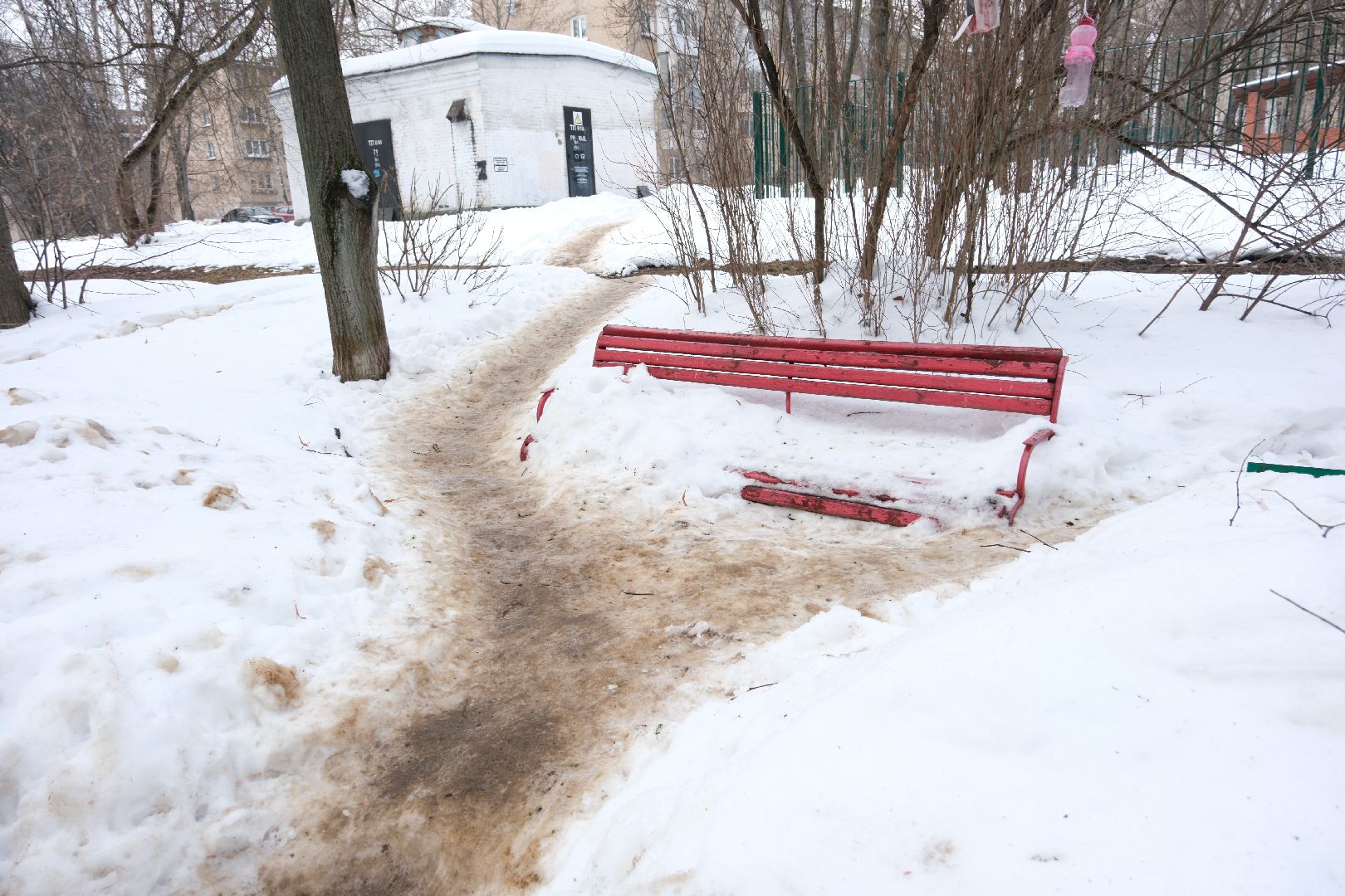 лыткарино, общество, выездная администрация, снег, двор,