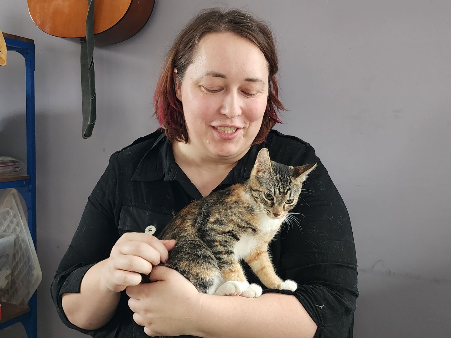 день кошек, донорство,