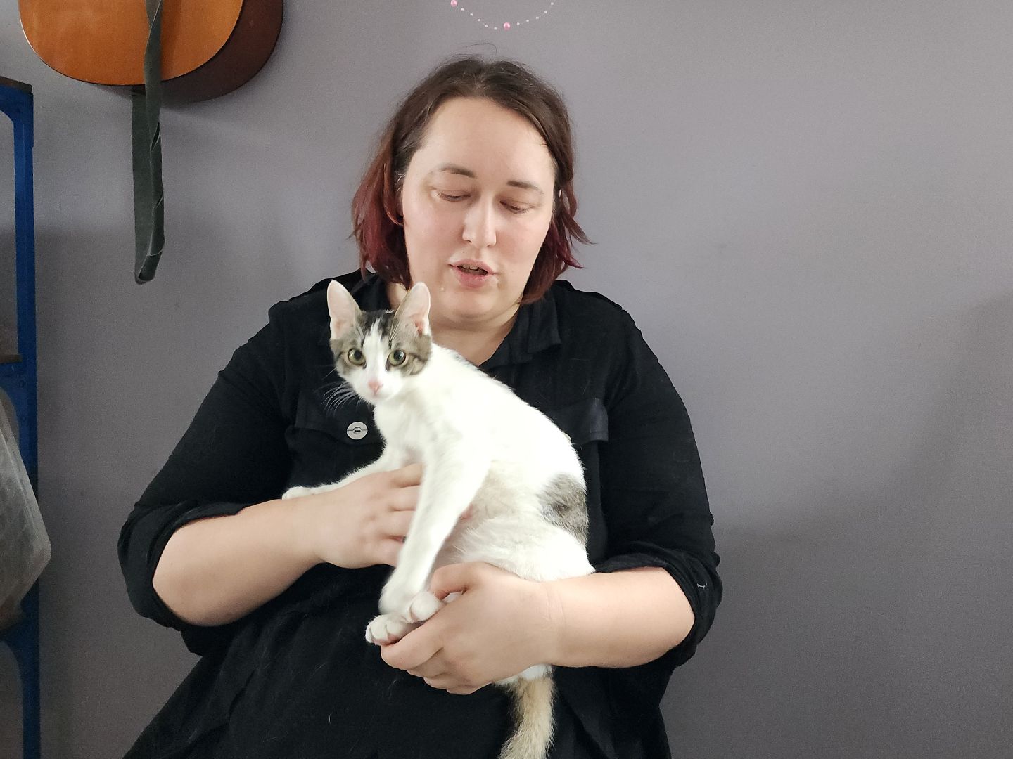 день кошек, донорство,