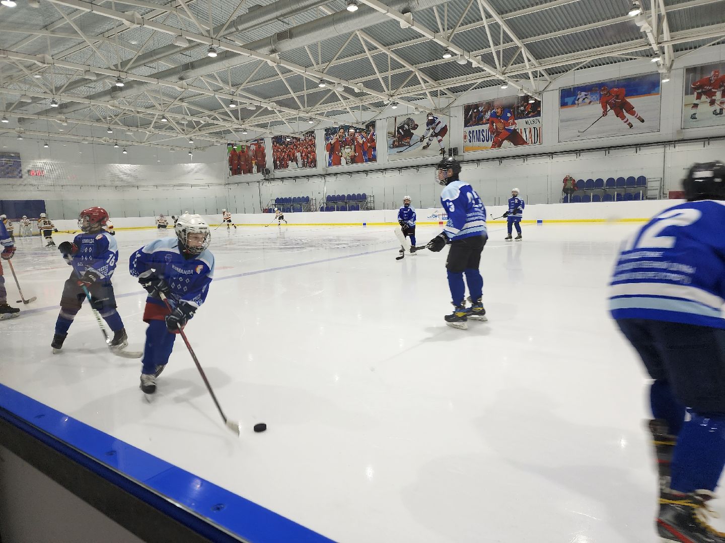 спорт, хоккеисты, хоккей, ногинск,