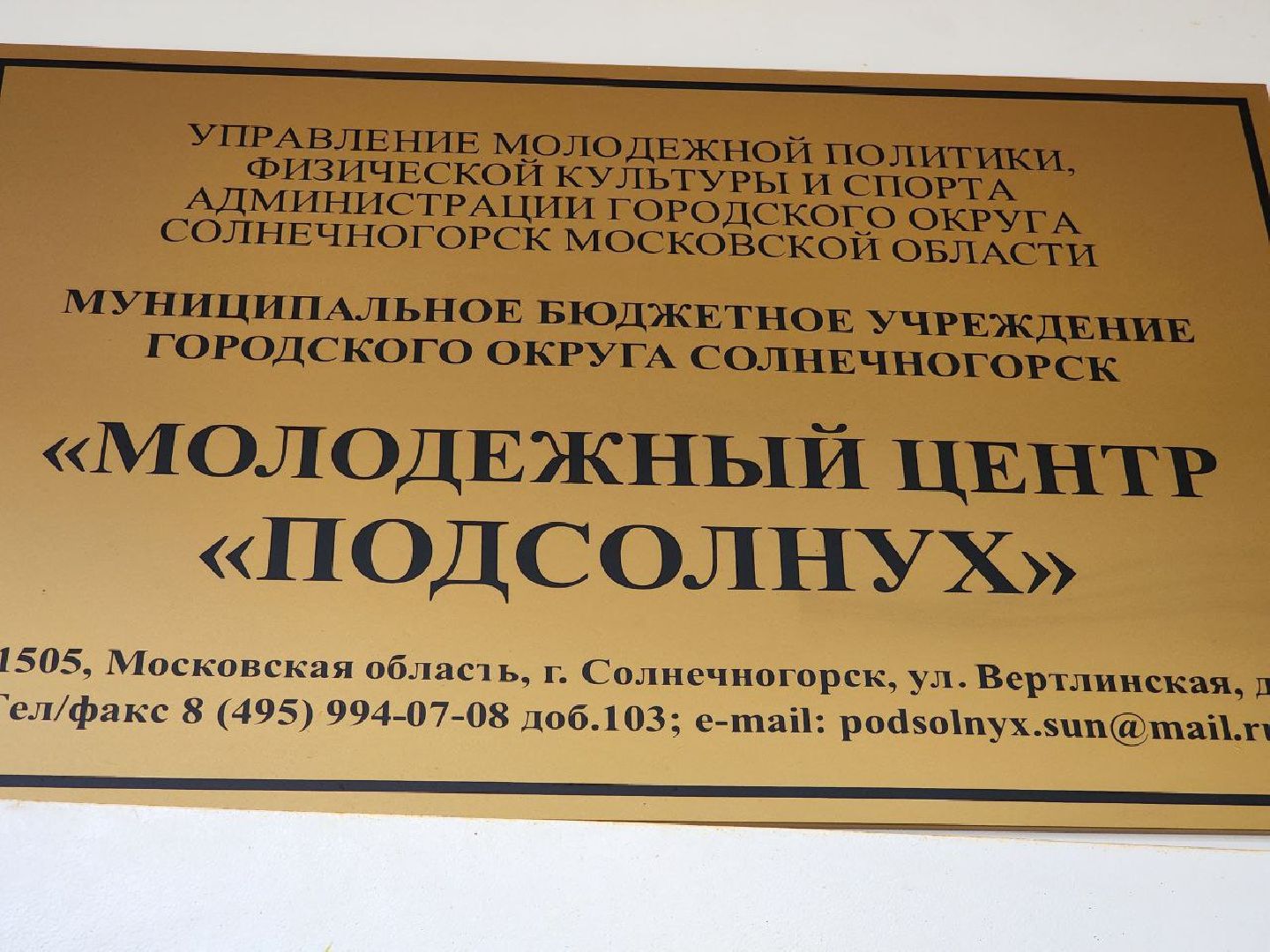 Солнечногорск, Дроны, Подсолнух, Юнармия, Команда,