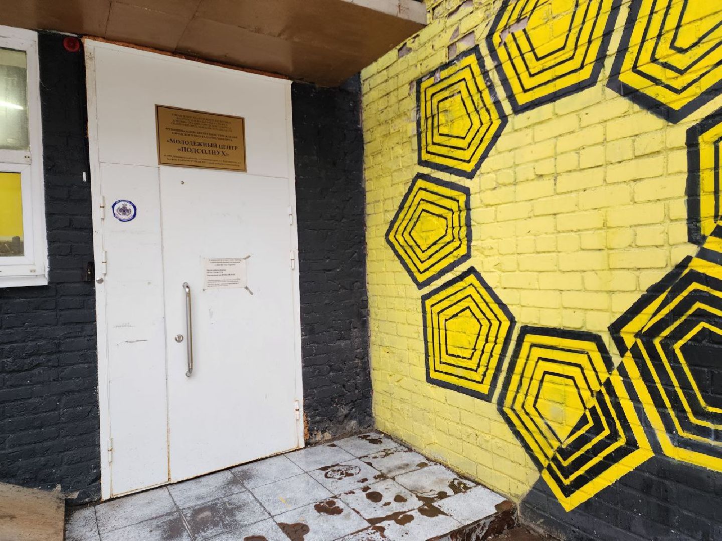 Солнечногорск, Дроны, Подсолнух, Юнармия, Команда,