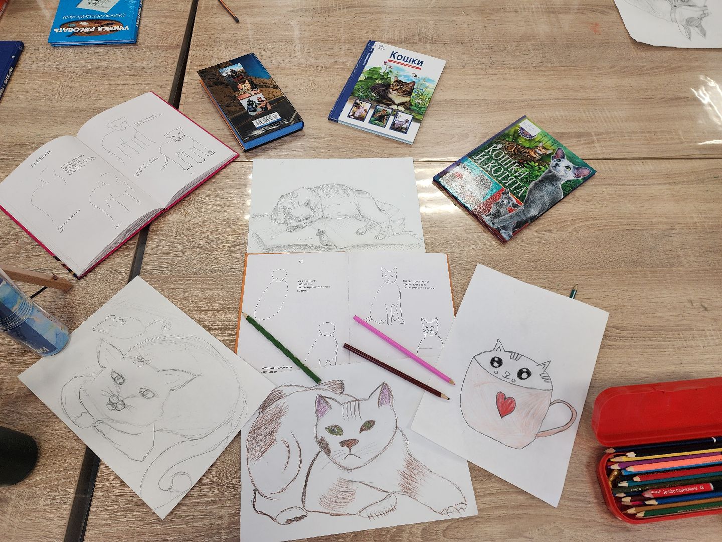 шатура, международный день кошек, библиотекарь, культура, городской округ культура,