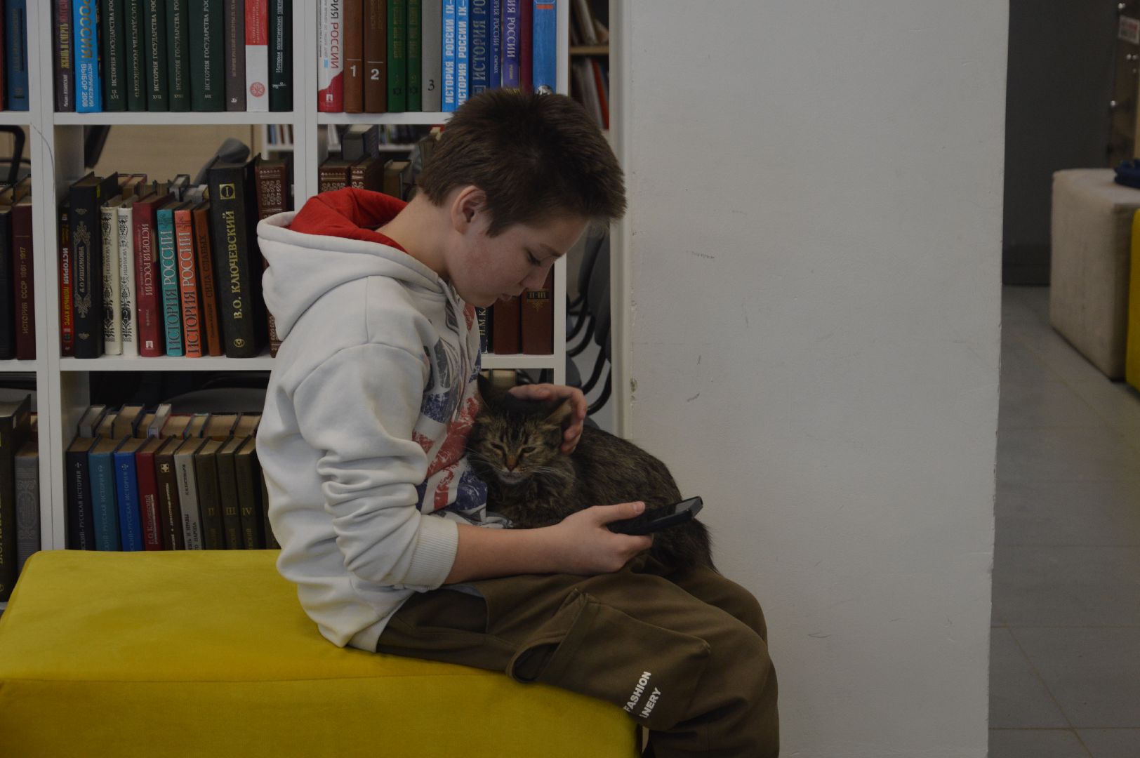 шатура, международный день кошек, библиотекарь, культура, городской округ культура,