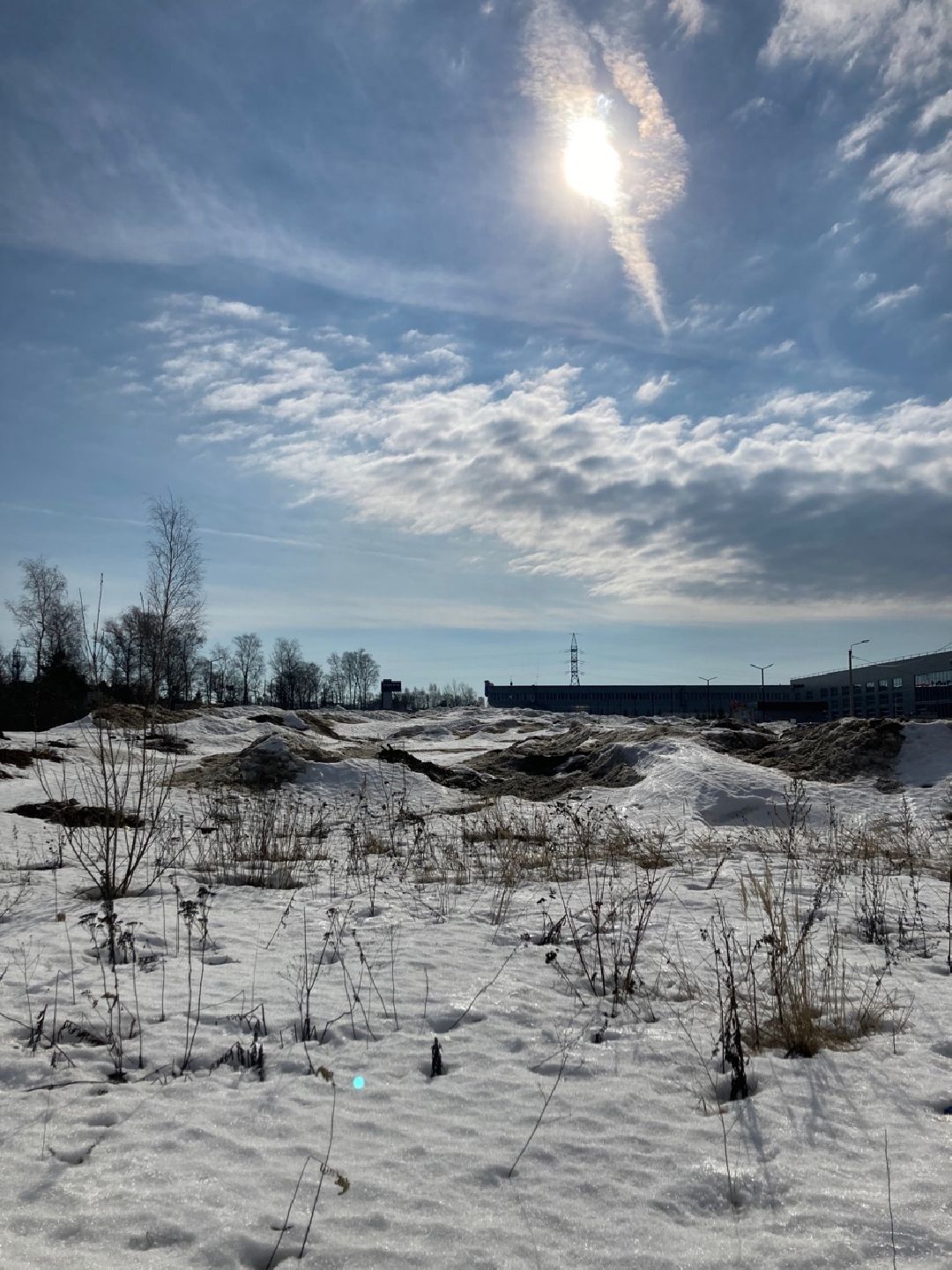 Солнечногорск, Экономика, овощи, фрукты