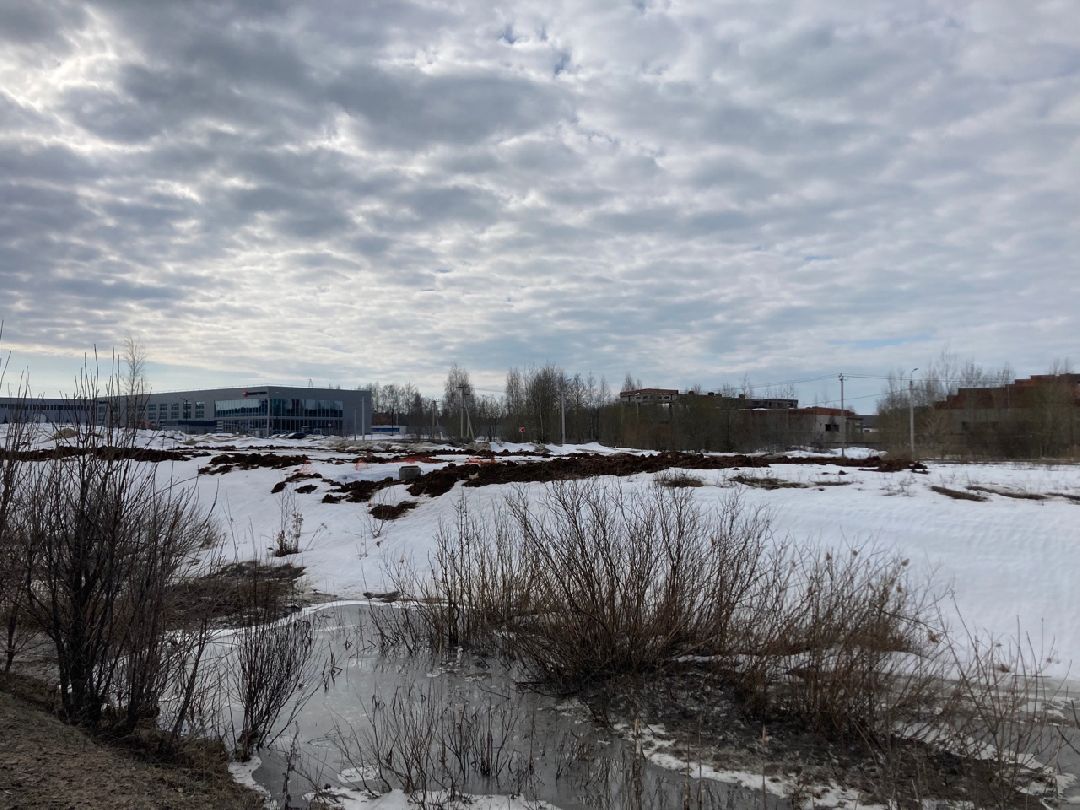 Солнечногорск, Экономика, овощи, фрукты