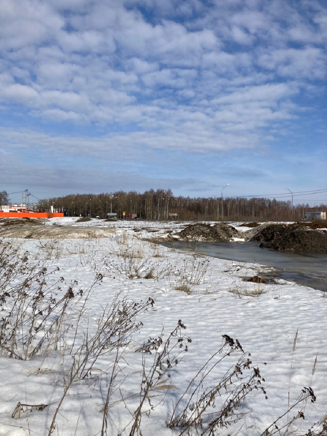 Солнечногорск, Экономика, овощи, фрукты