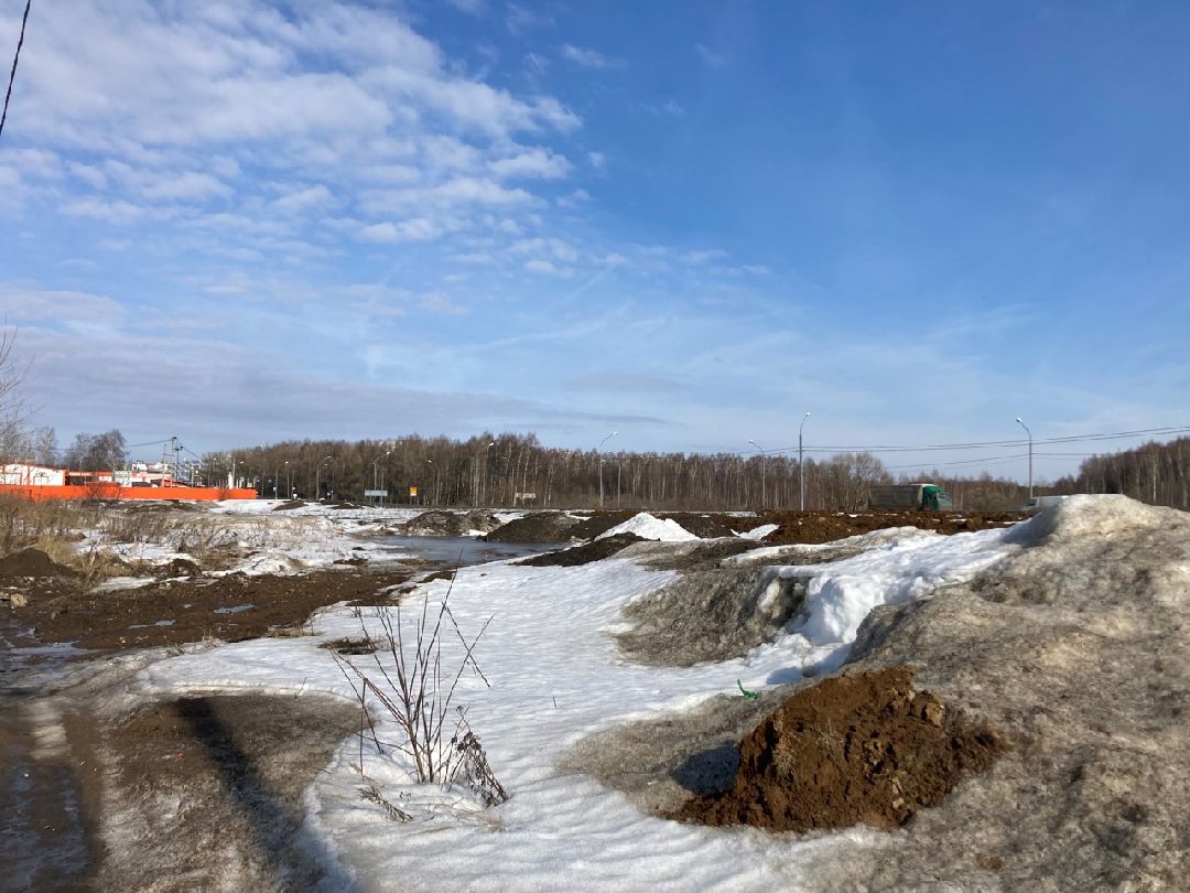 Солнечногорск, Экономика, овощи, фрукты