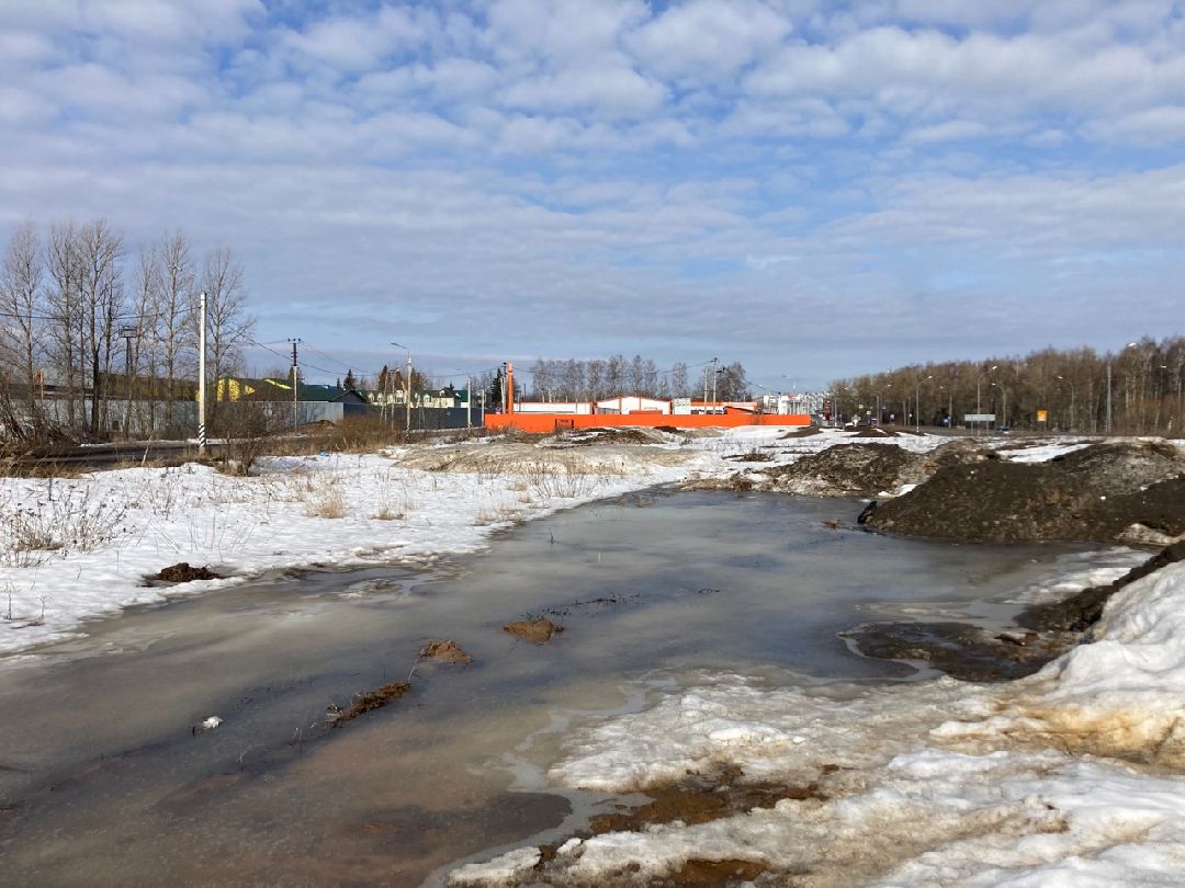 Солнечногорск, Экономика, овощи, фрукты