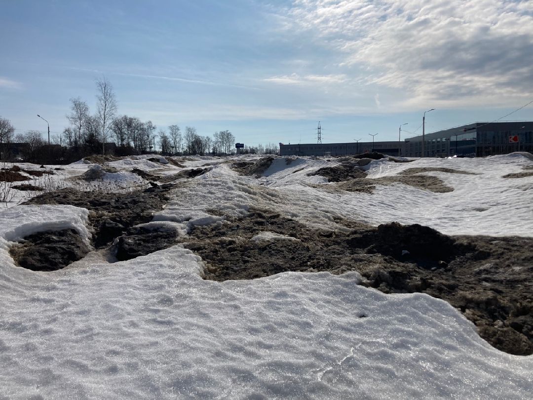 Солнечногорск, Экономика, овощи, фрукты