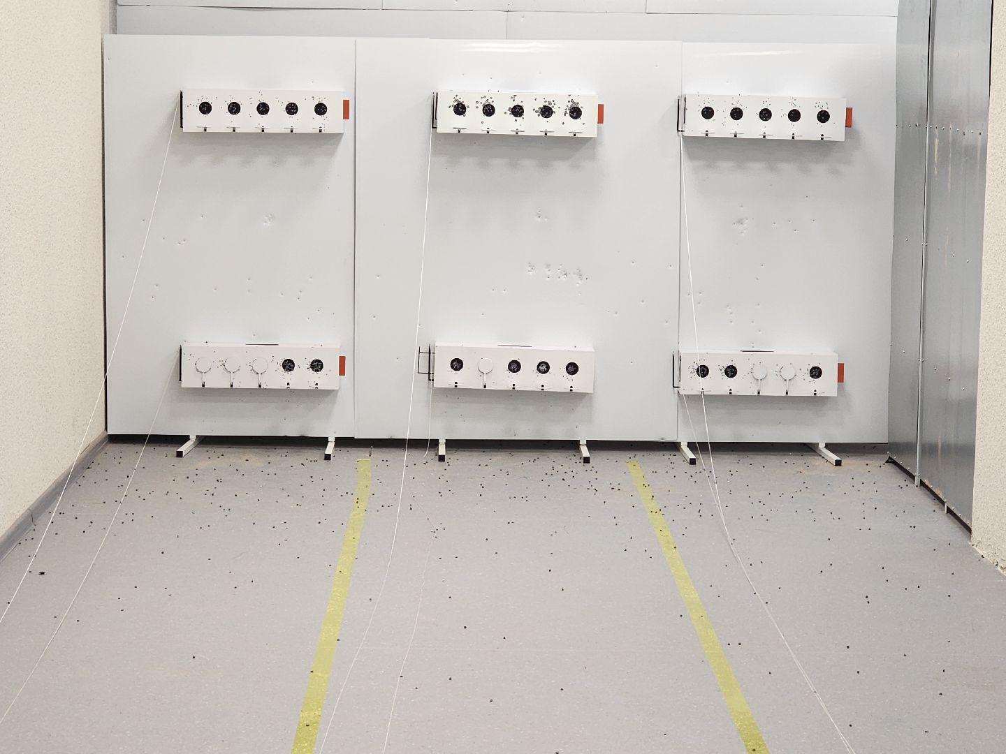 зарница, юнармия,