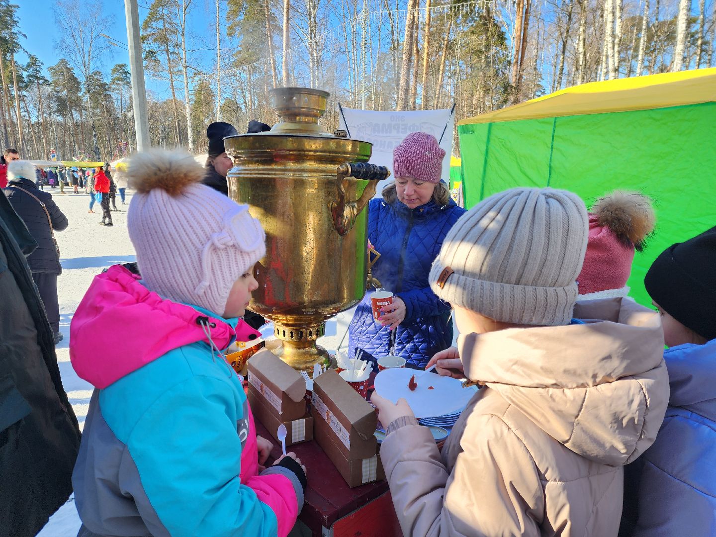 ногинск, культура, богородские парки, парки мо,
