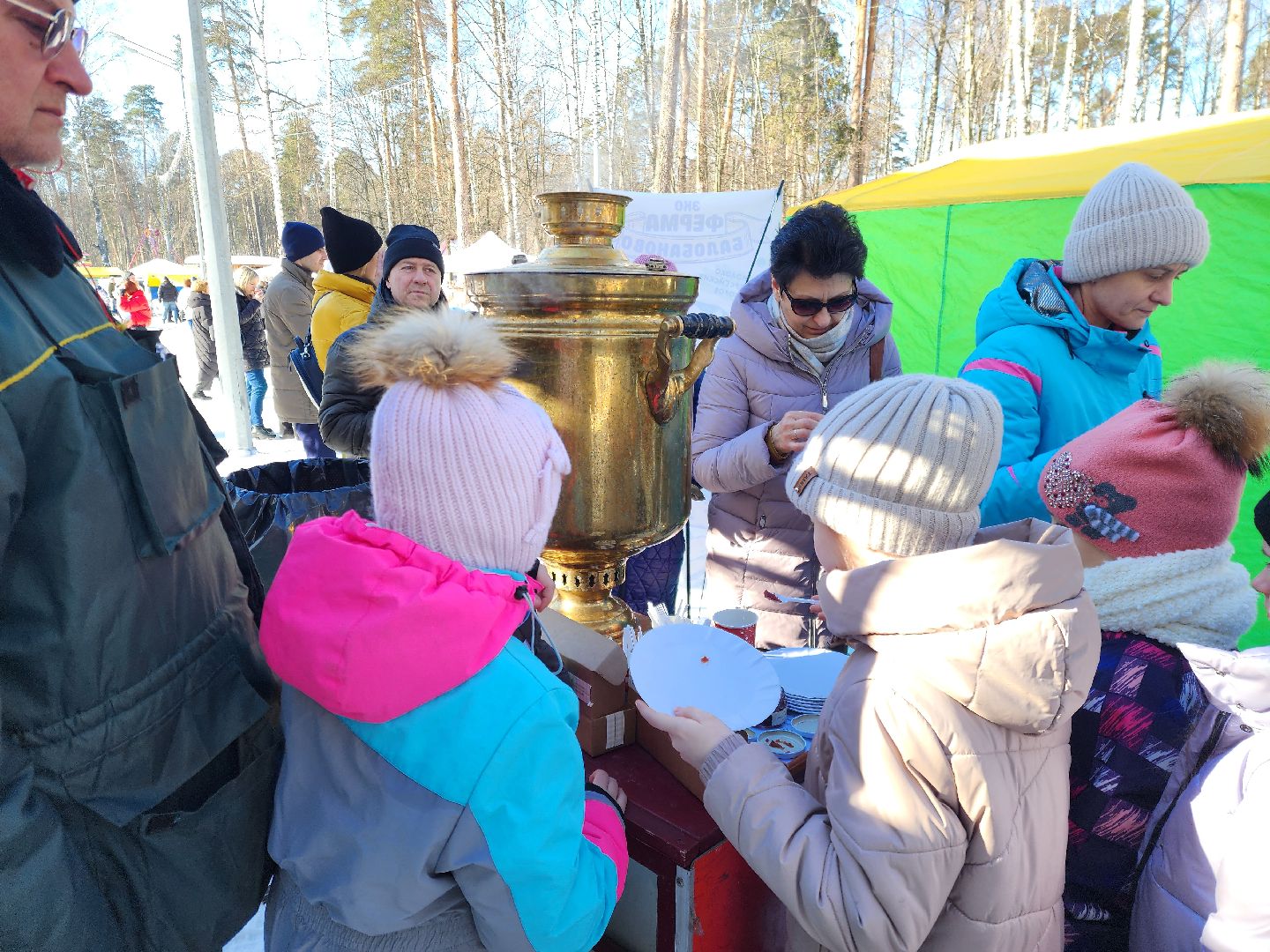 ногинск, культура, богородские парки, парки мо,