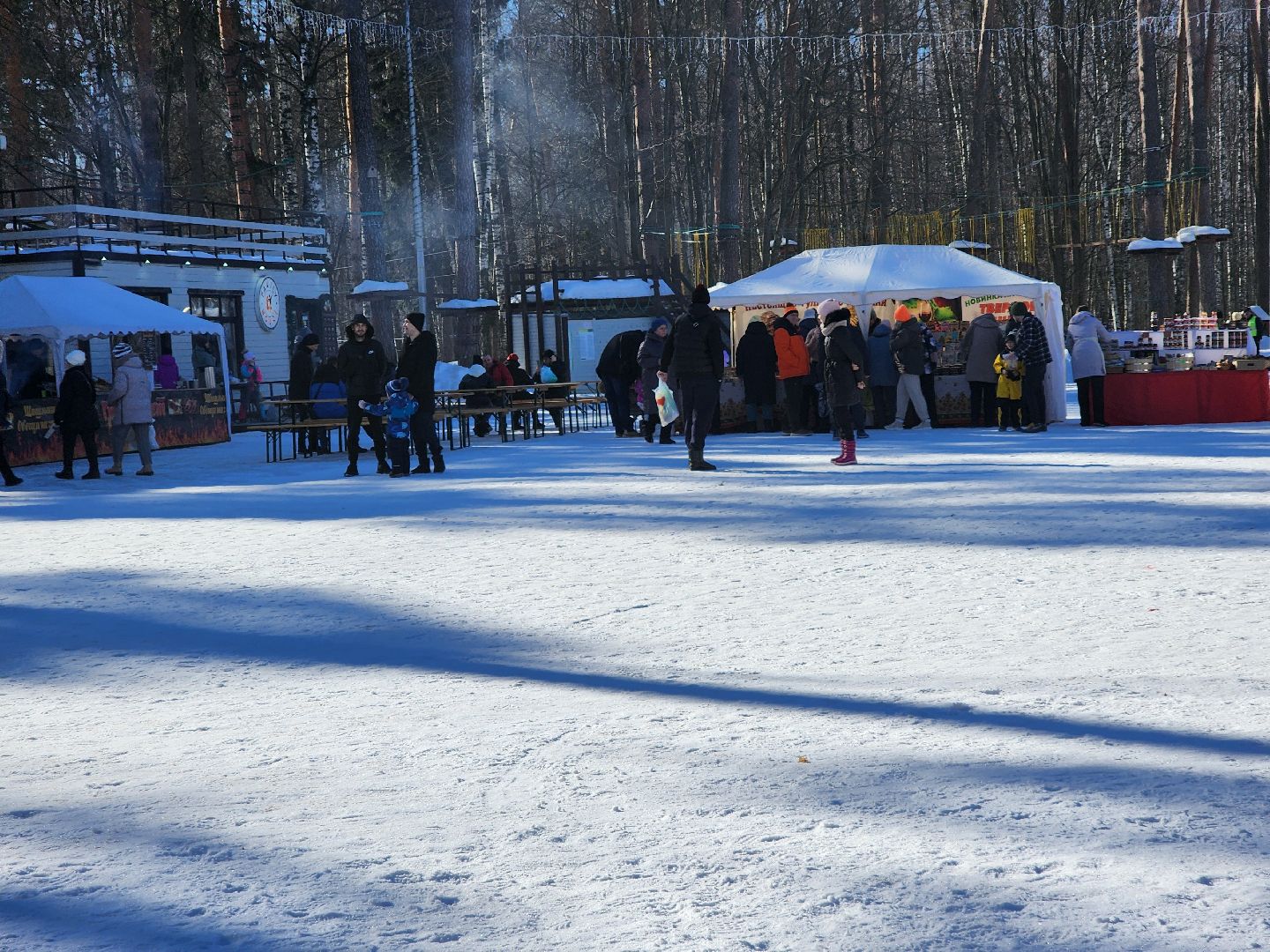 ногинск, культура, богородские парки, парки мо,