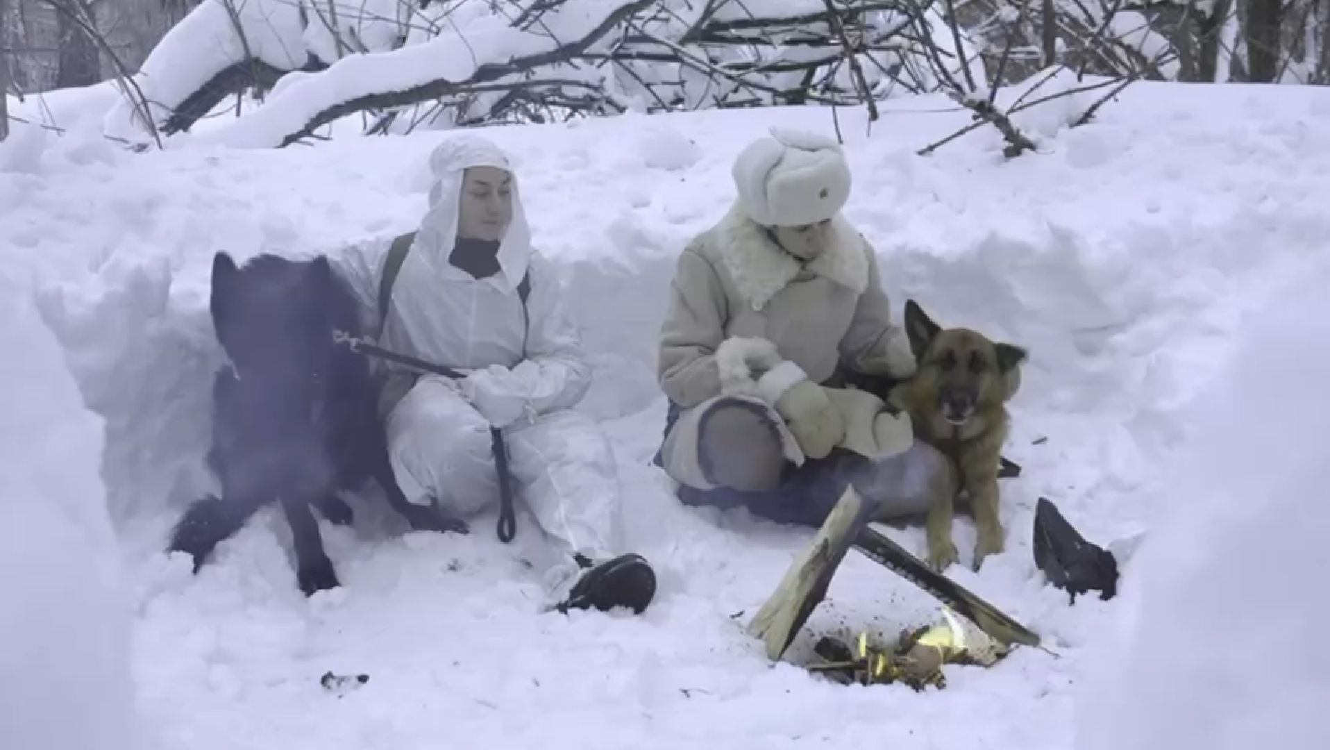 долгопрудный, кинологи, x-легион, собаки-герои ВОВ,