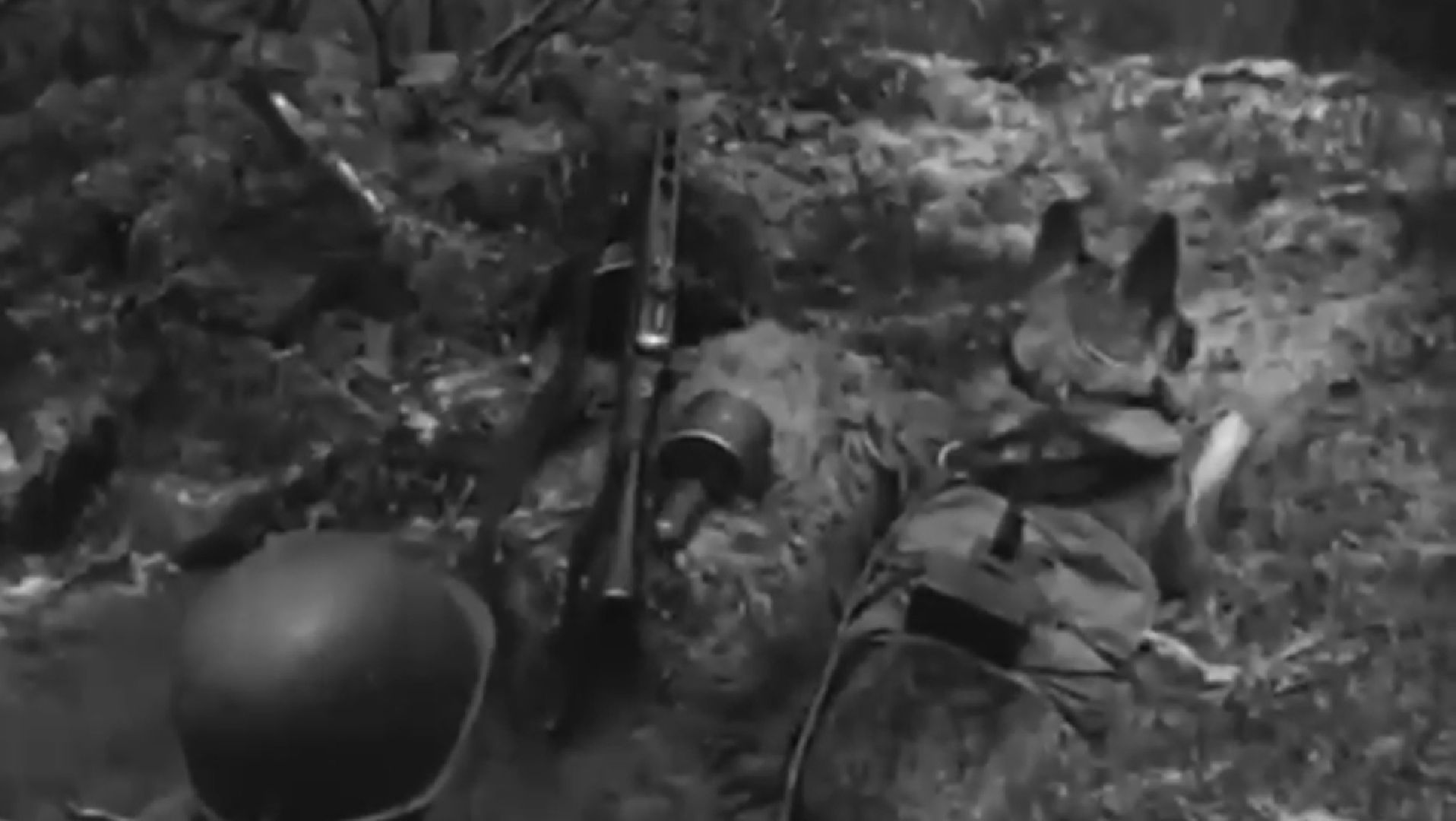 долгопрудный, кинологи, x-легион, собаки-герои ВОВ,