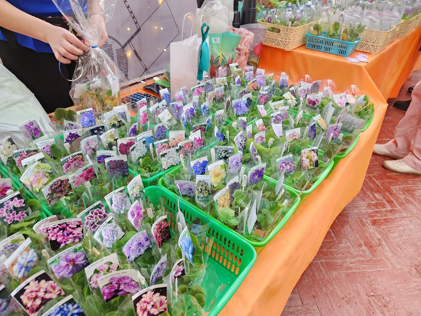 Фестиваль творчества, орехово-зуевский округ,