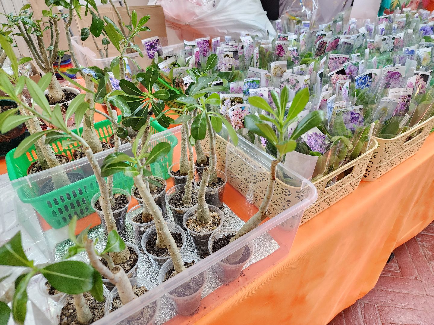 Фестиваль творчества, орехово-зуевский округ,