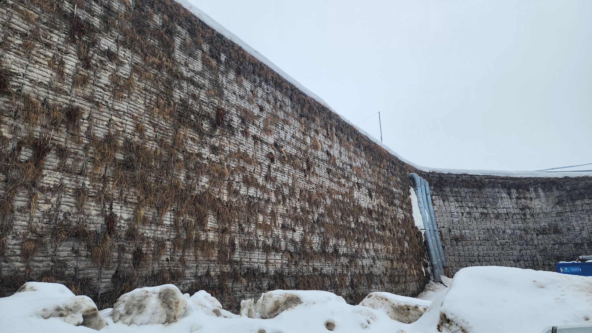 Подмосковье, Городской округ Пушкинский, ТКО, Глава Пушкинского,