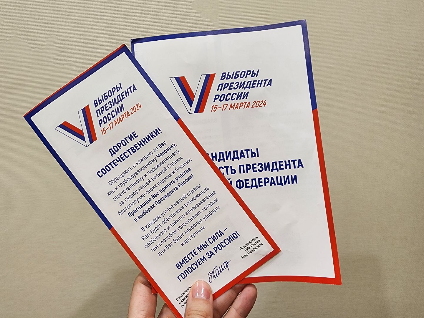 выборы, информирование, поквартирные обходы, Старая Купавна, Богородский городской округ,