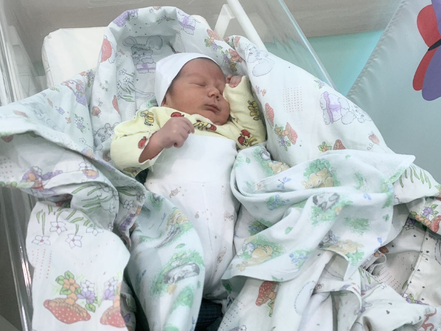 Балашиха, Подмосковье, Младенец-богатырь, Тысячный ребенок, Новорожденные, Перинатальные центры,