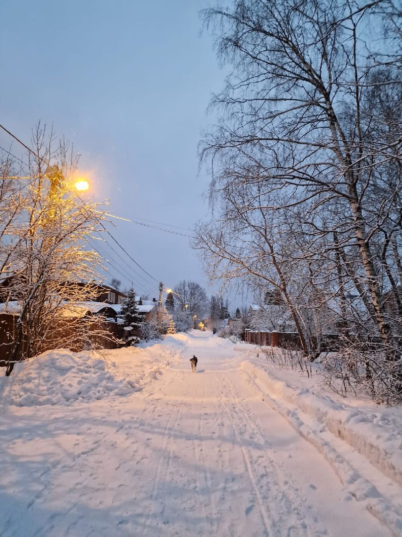выездная администрация, школа,электричество,