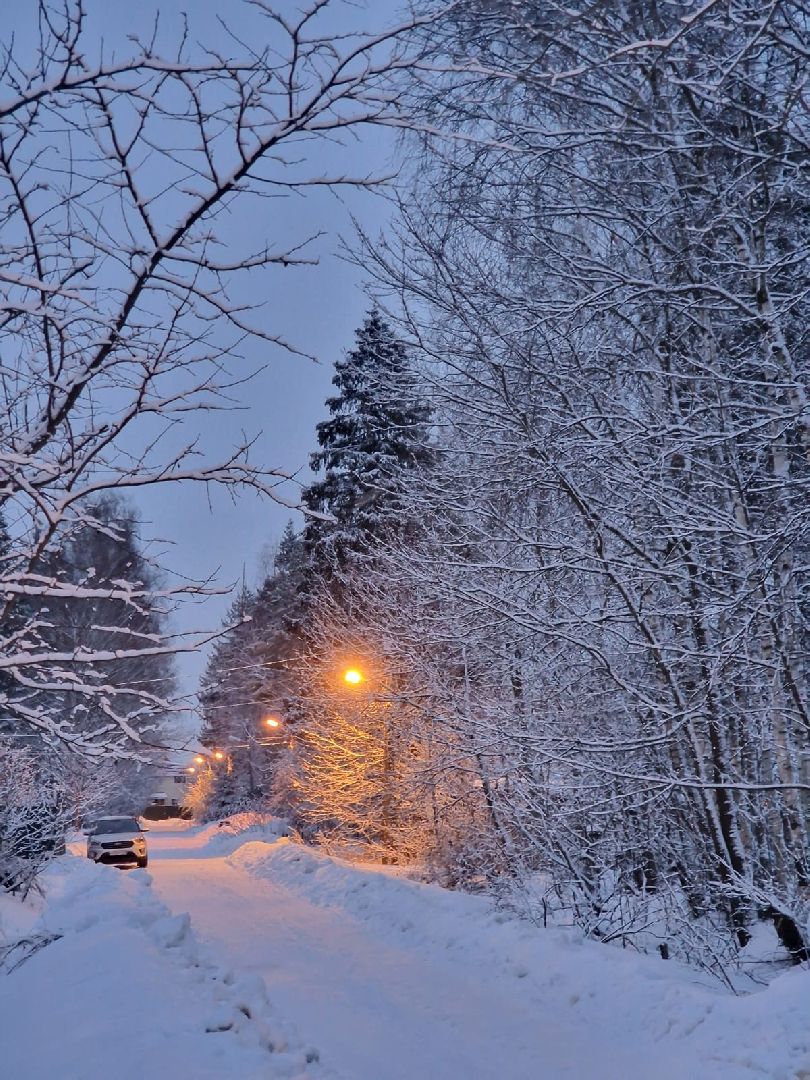 выездная администрация, школа,электричество,