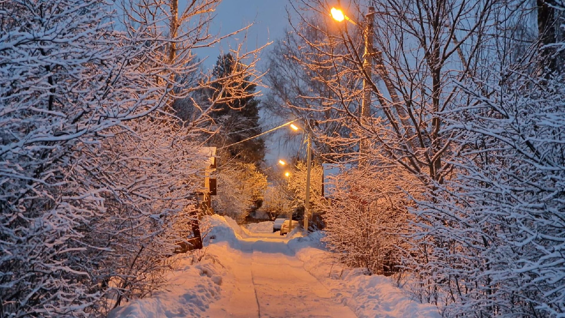 выездная администрация, школа,электричество,