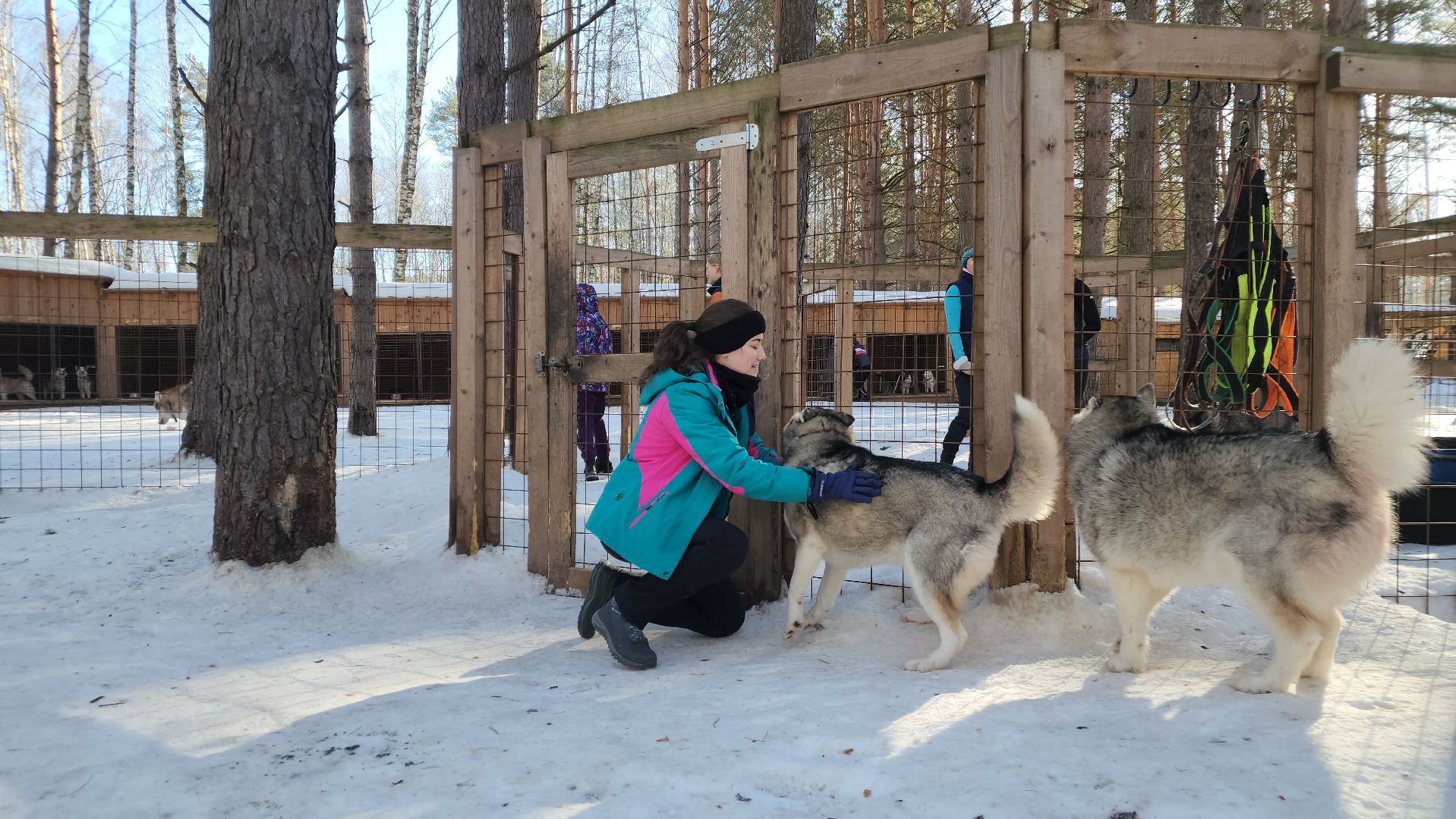 спорт в подмосковье, ступино, гонки,