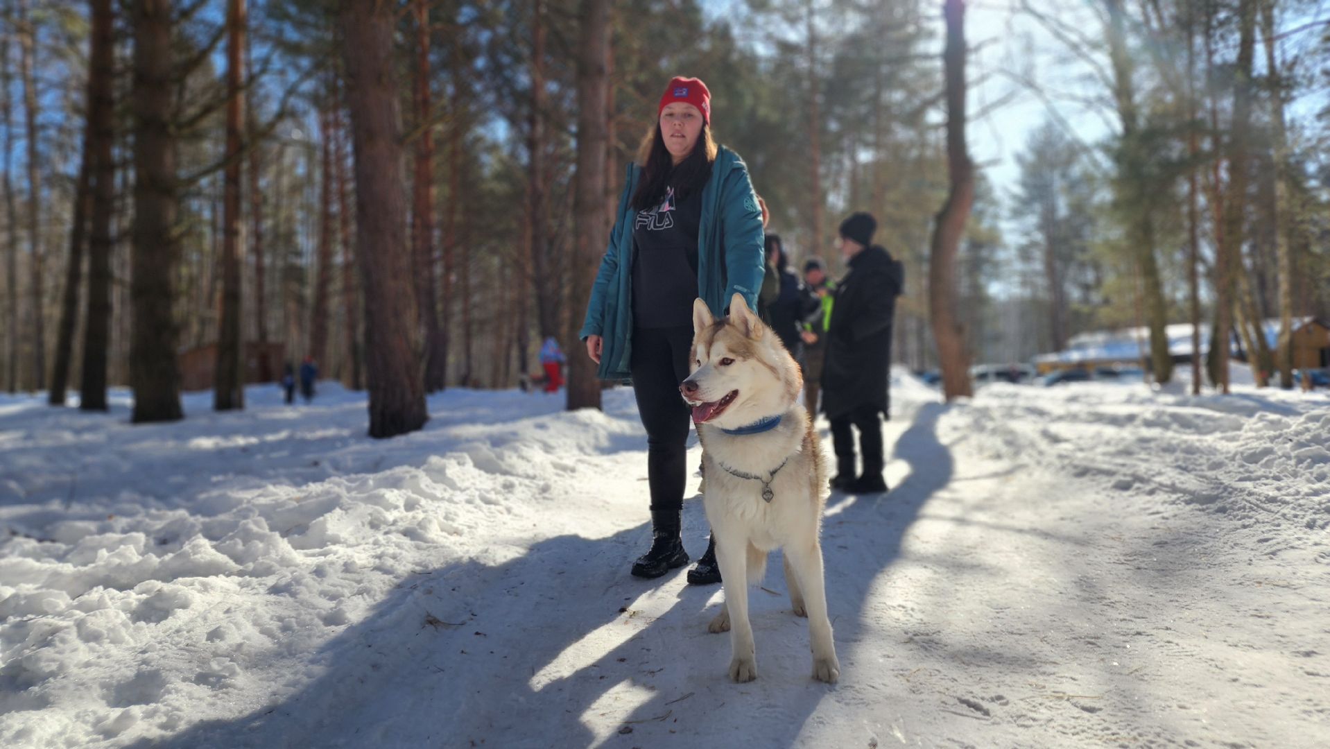 спорт в подмосковье, ступино, гонки,
