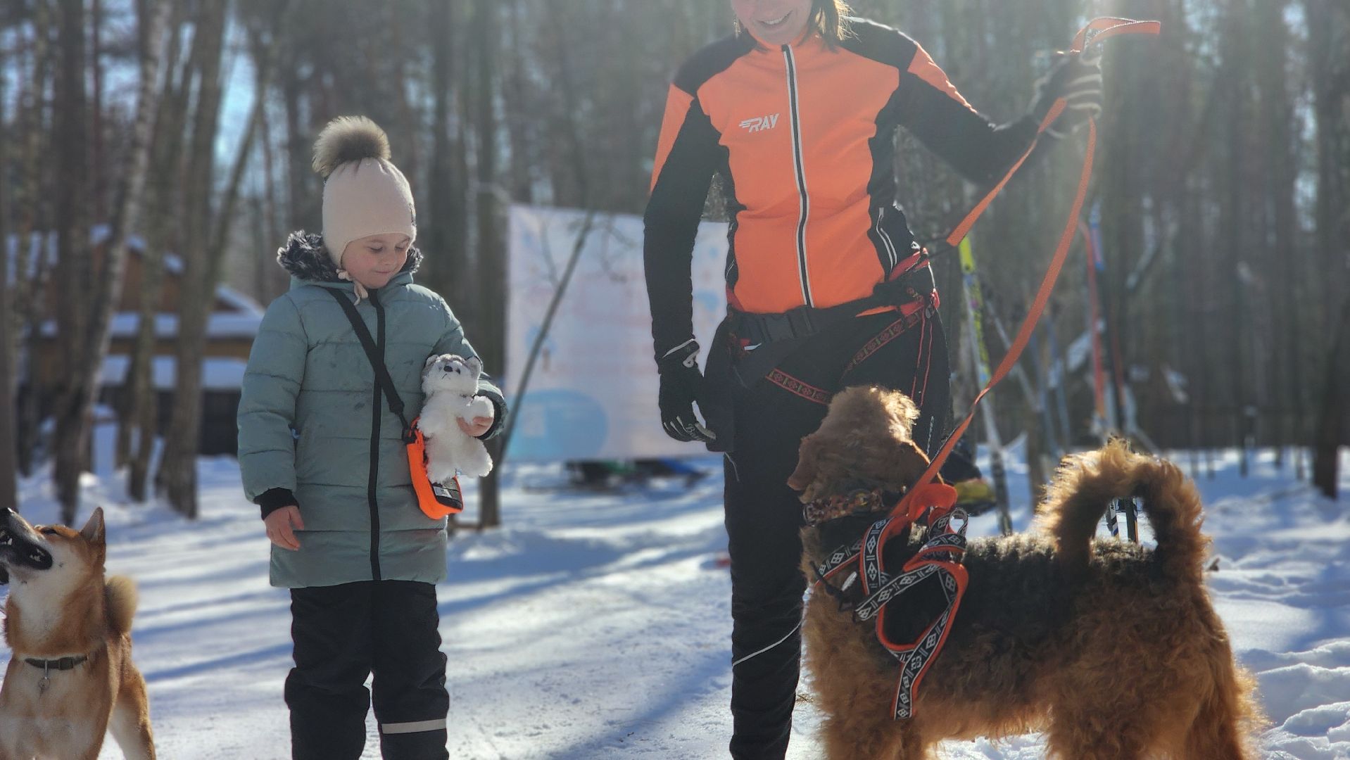 спорт в подмосковье, ступино, гонки,