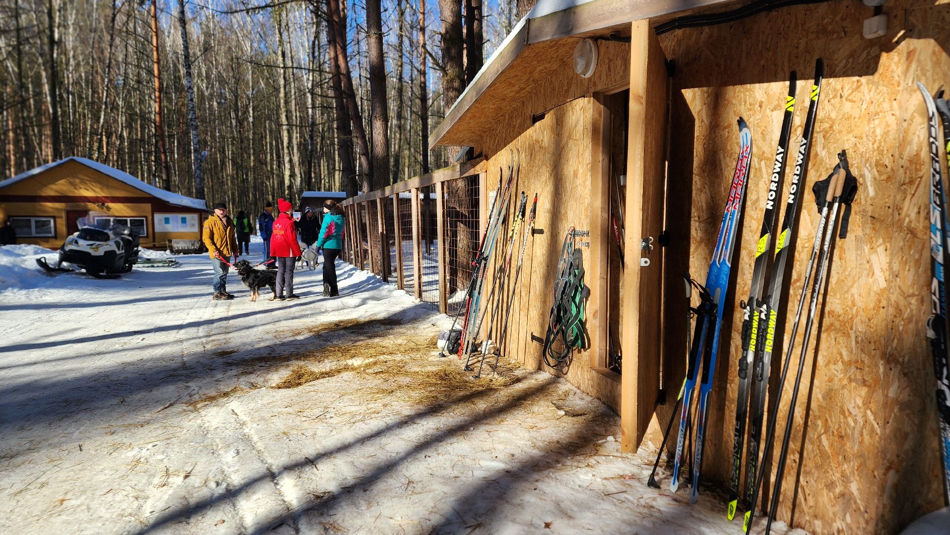 спорт в подмосковье, ступино, гонки,