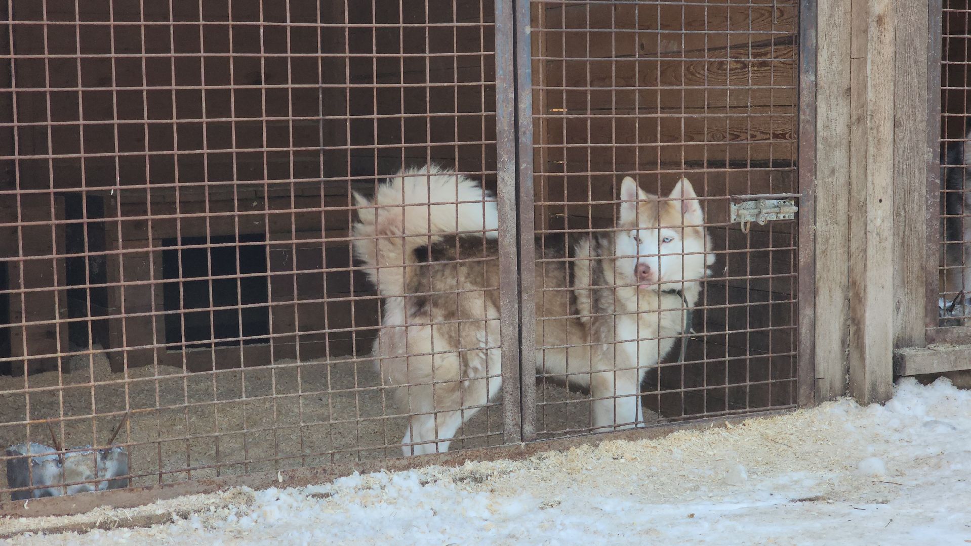 спорт в подмосковье, ступино, гонки,