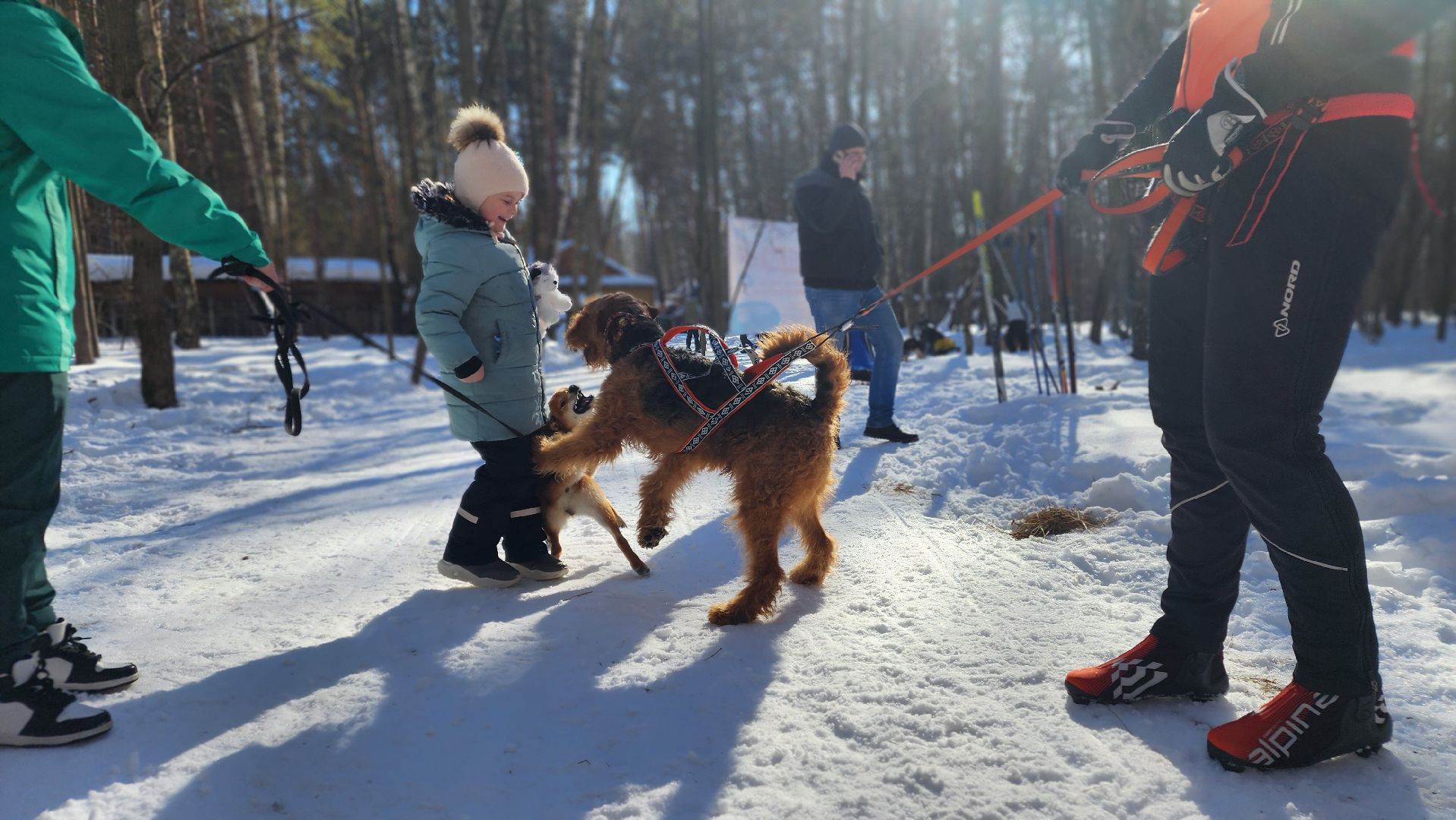 спорт в подмосковье, ступино, гонки,