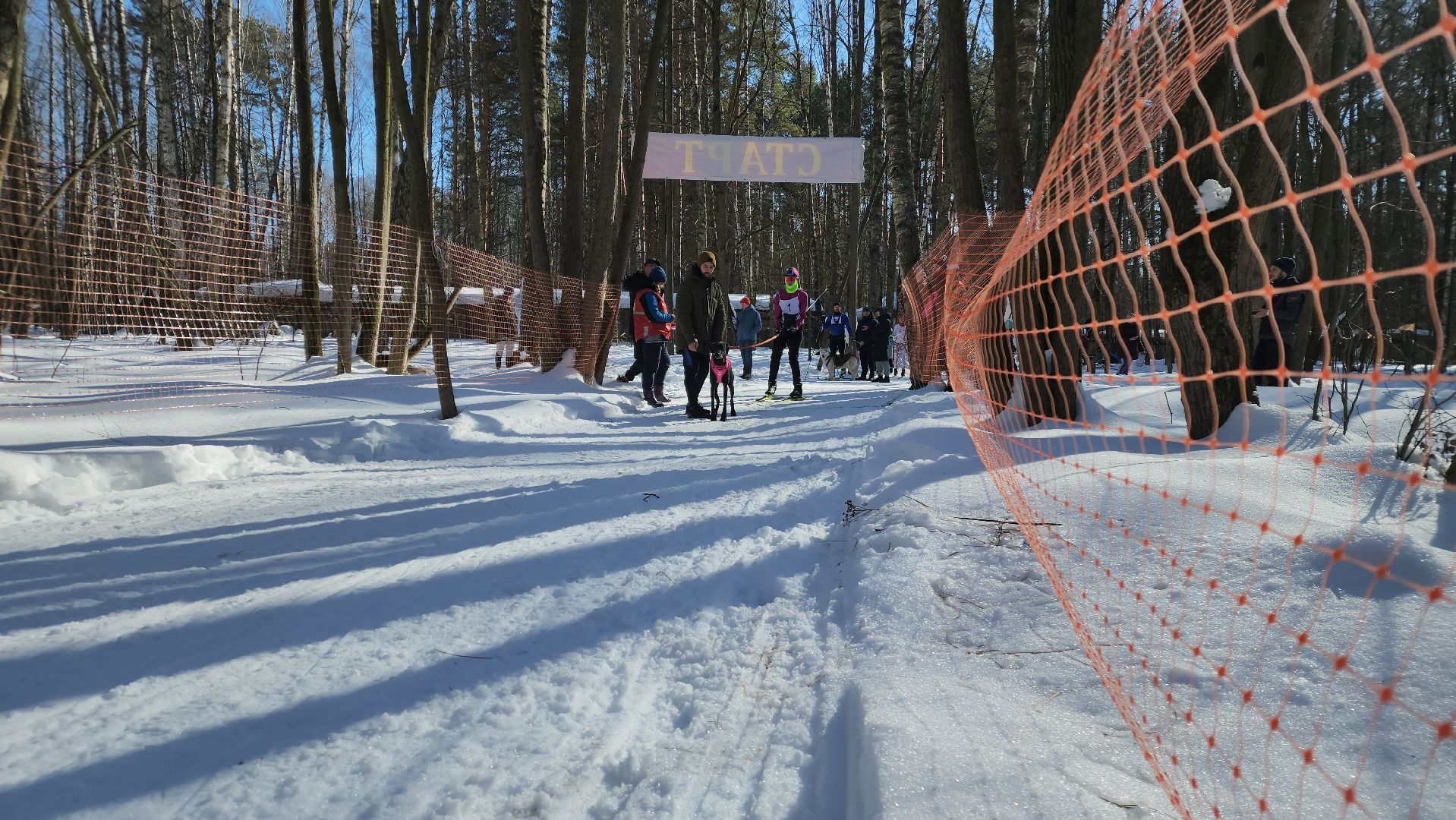 спорт в подмосковье, ступино, гонки,