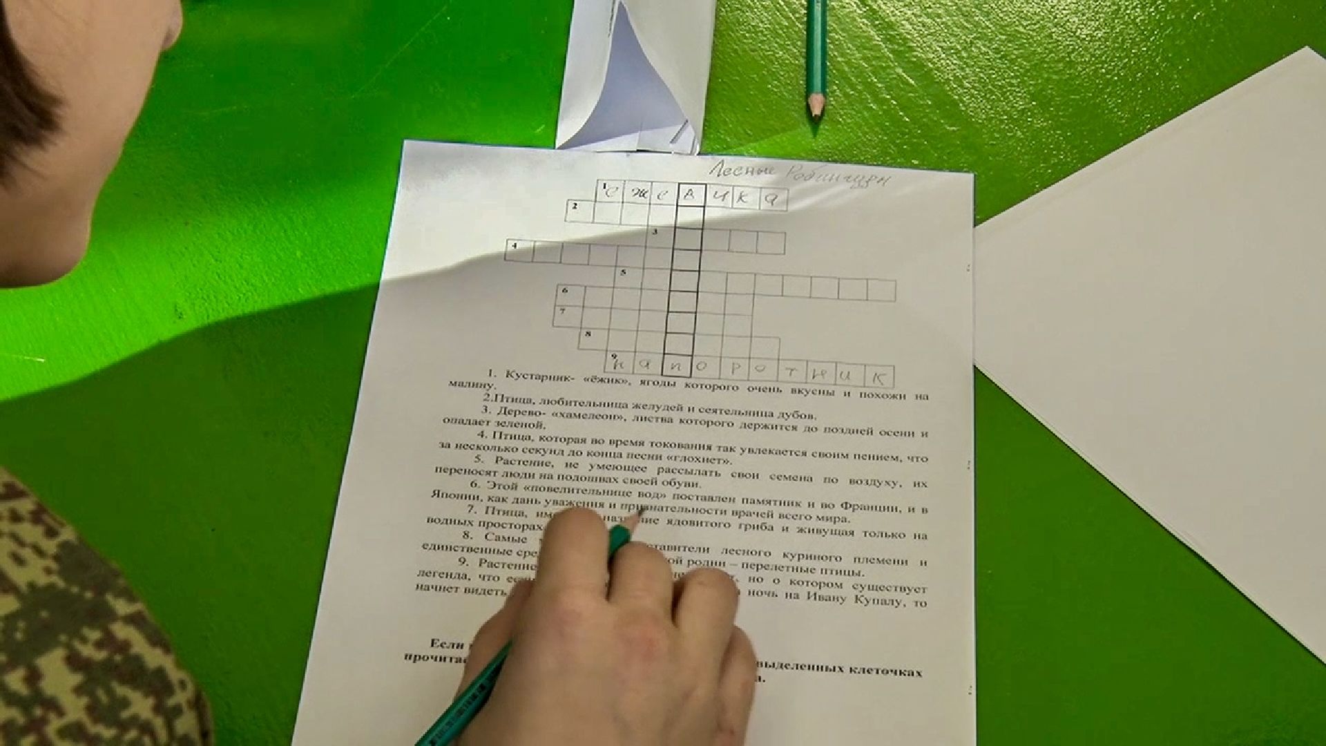 Клин, общество, молодежь, образование, школьные лесничие, лесная охрана,