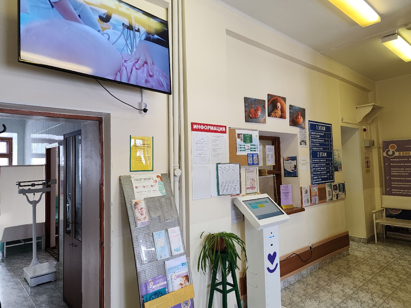 женская консультация, новые врачи,