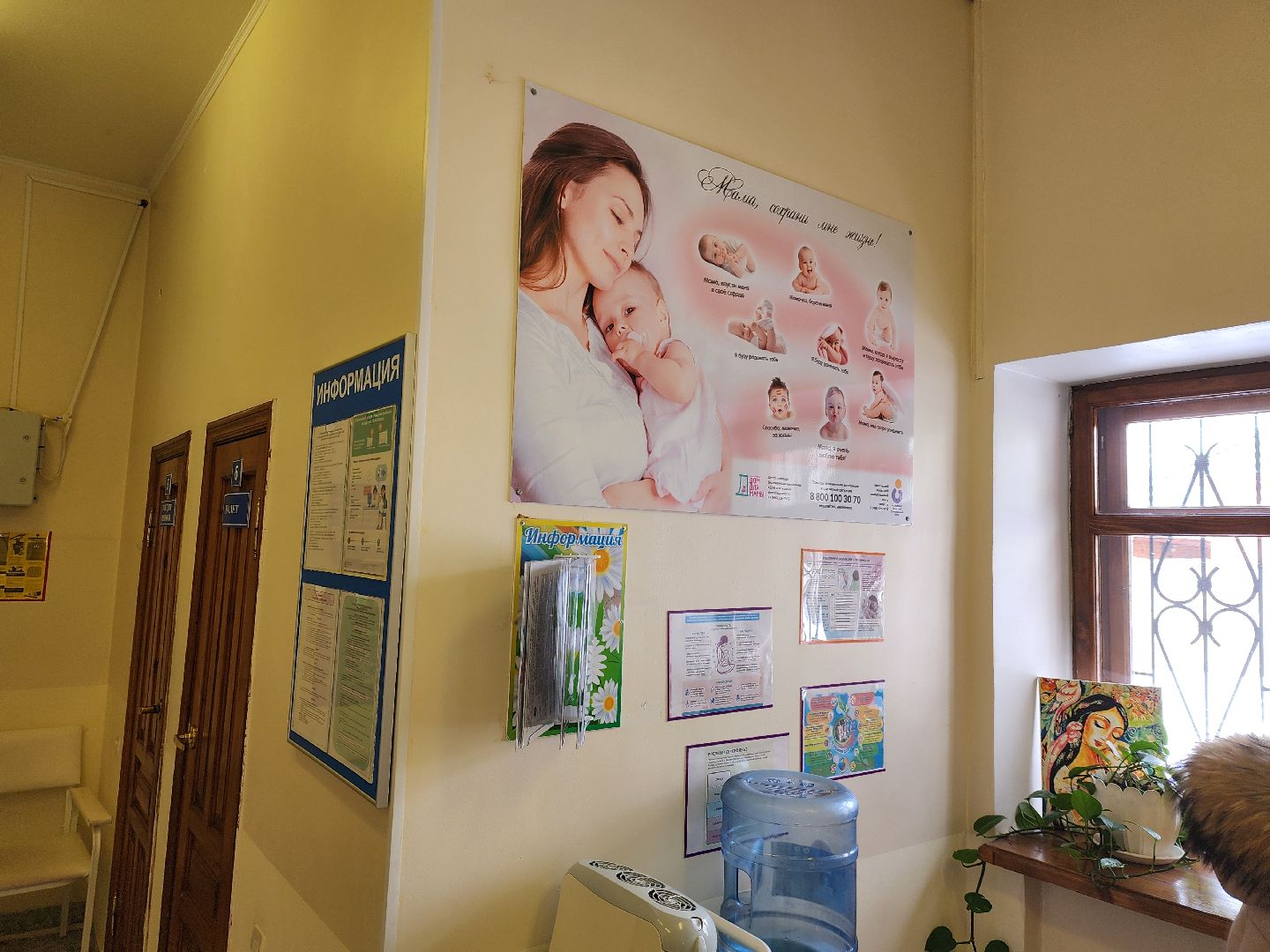 женская консультация, новые врачи,
