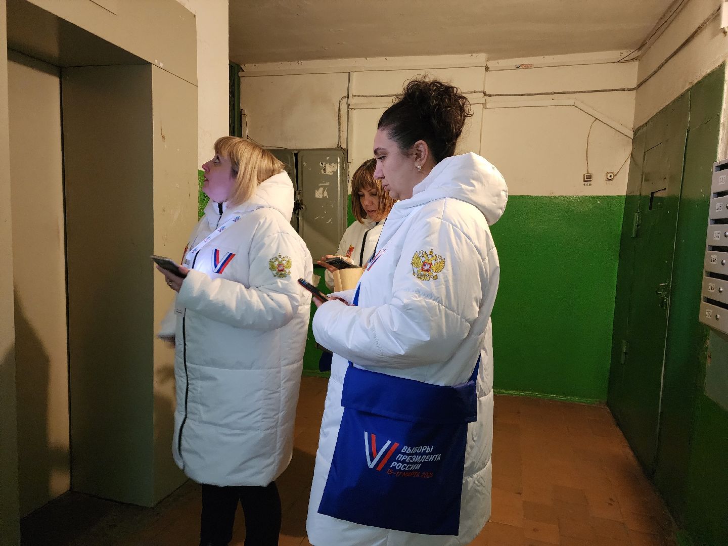 пушкино, выборы президента 2024, избиратели, уик, обход квартир,