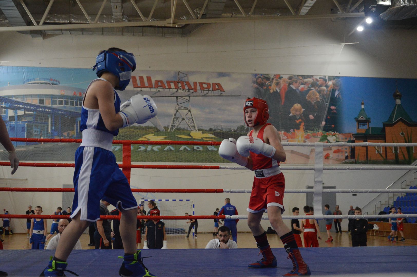 шатура, бокс, первенство московской области по боксу, спорт в подмосковье, городской округ спорт, супер бокс,