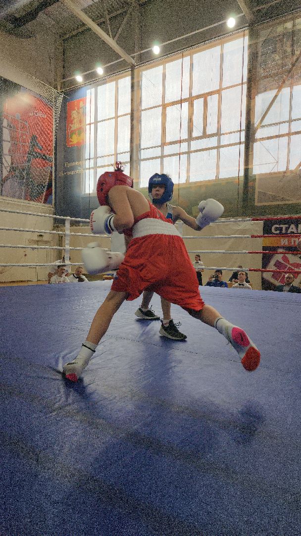 шатура, бокс, первенство московской области по боксу, спорт в подмосковье, городской округ спорт, супер бокс,