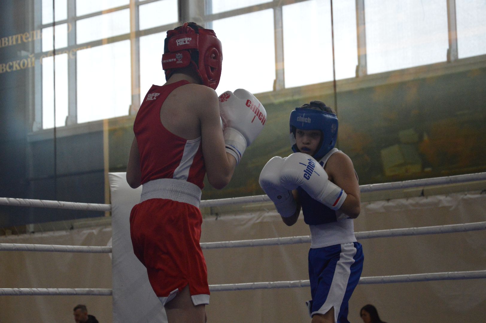 шатура, бокс, первенство московской области по боксу, спорт в подмосковье, городской округ спорт, супер бокс,