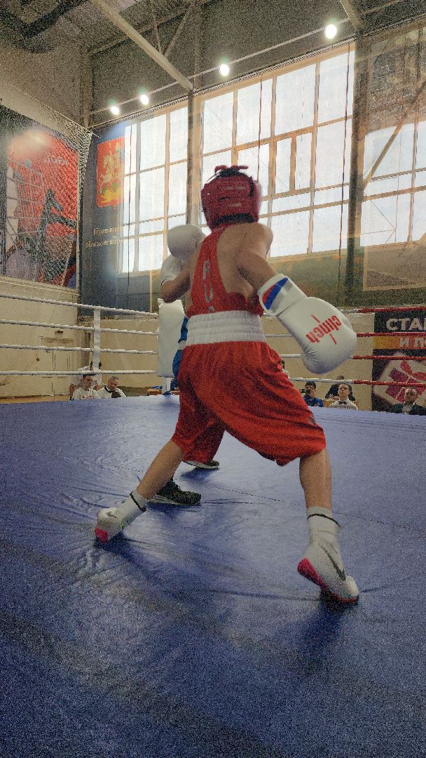 шатура, бокс, первенство московской области по боксу, спорт в подмосковье, городской округ спорт, супер бокс,