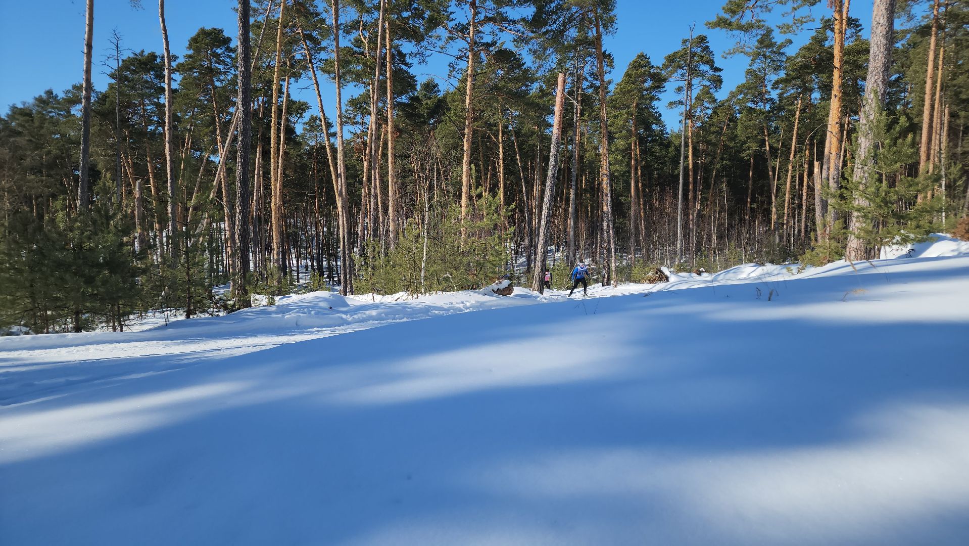 спорт ступино, спорт в подмосковье, лыжные гонки,