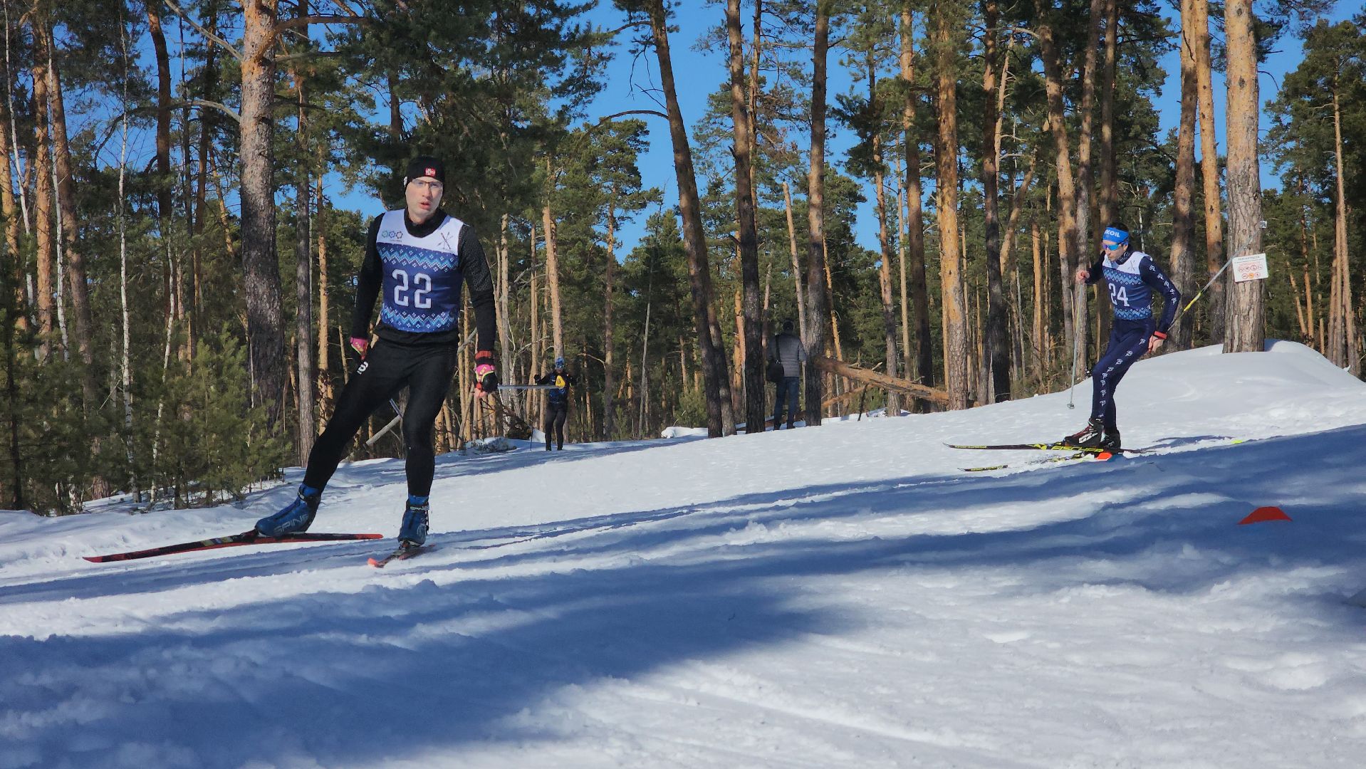 спорт ступино, спорт в подмосковье, лыжные гонки,
