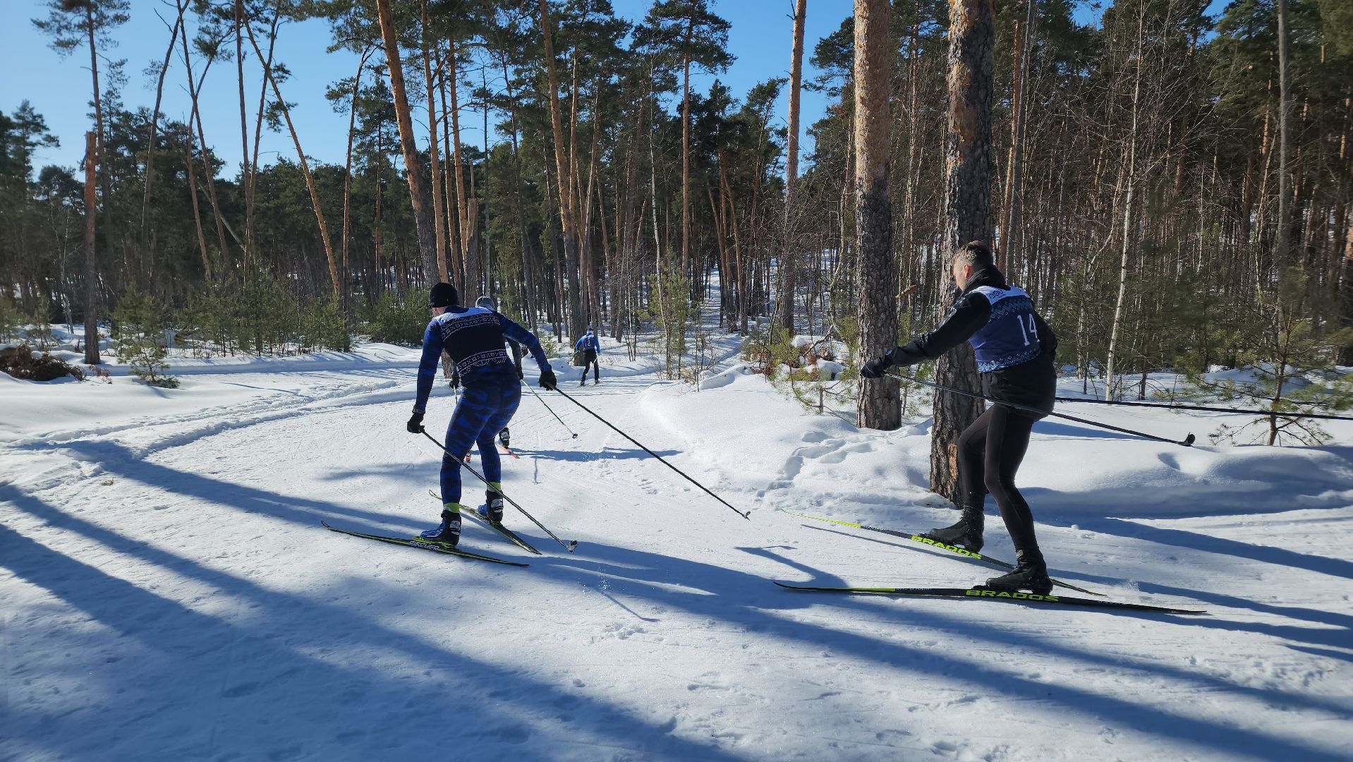 спорт ступино, спорт в подмосковье, лыжные гонки,