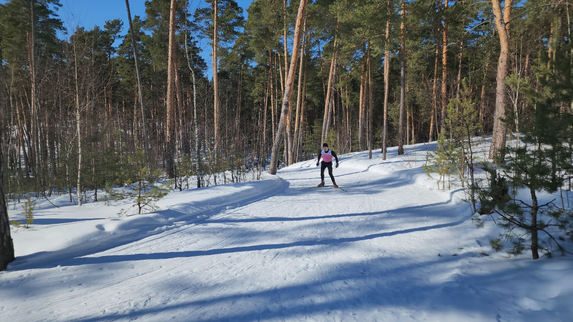 спорт ступино, спорт в подмосковье, лыжные гонки,