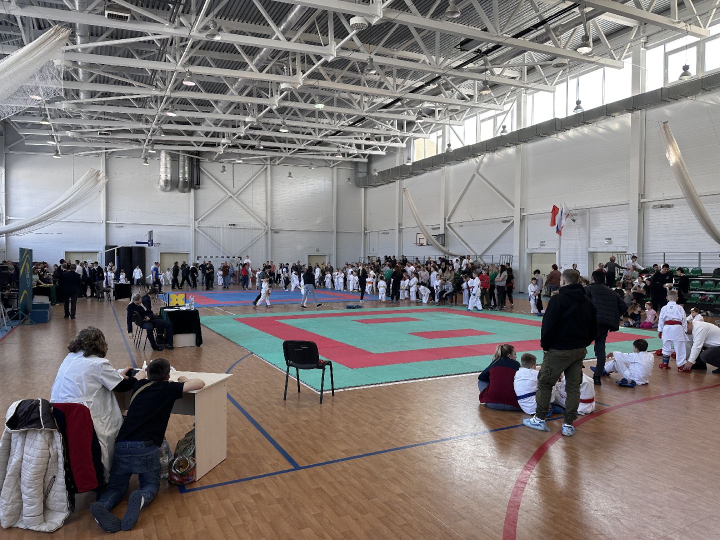 Клин, общество, спорт, каратэ, соревнования,