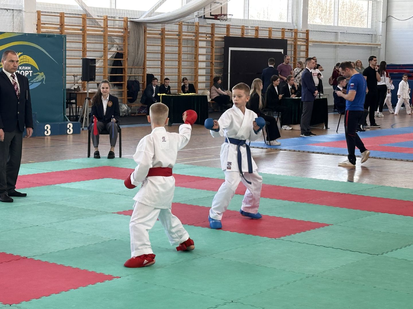 Клин, общество, спорт, каратэ, соревнования,